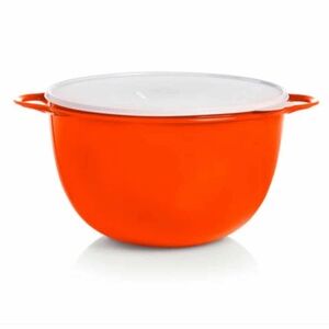 Tupperware Thatsa Jumbo